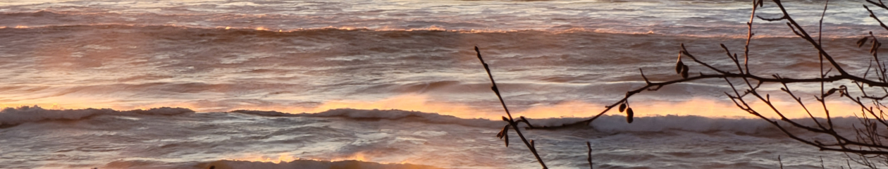 Oregon Coast Learning Institute